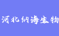 firm_logo