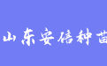 firm_logo