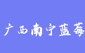 firm_logo