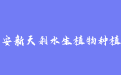 firm_logo