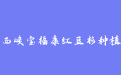 firm_logo