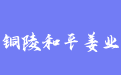 firm_logo