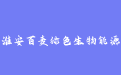 firm_logo