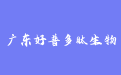 firm_logo
