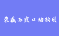 firm_logo