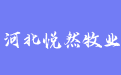 firm_logo