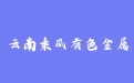 firm_logo