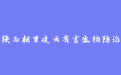 firm_logo